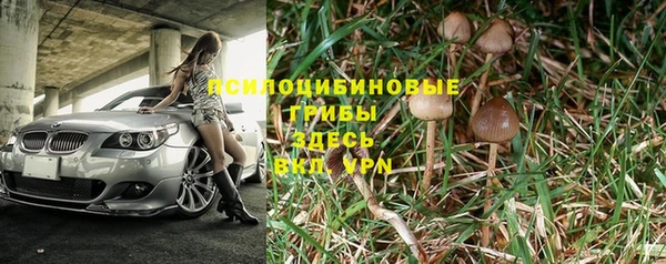 spice Ельня