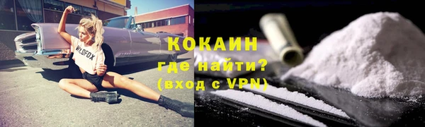 spice Ельня