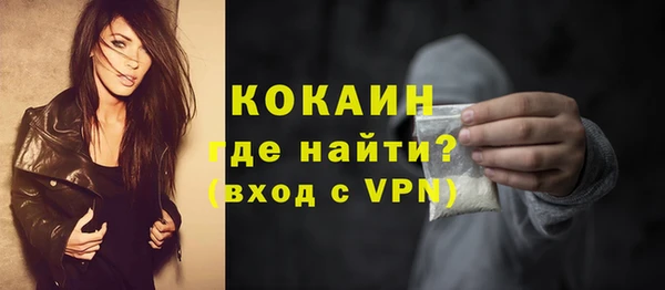 spice Ельня