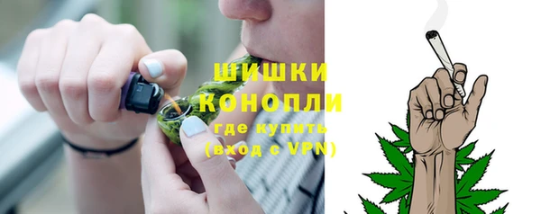 spice Ельня