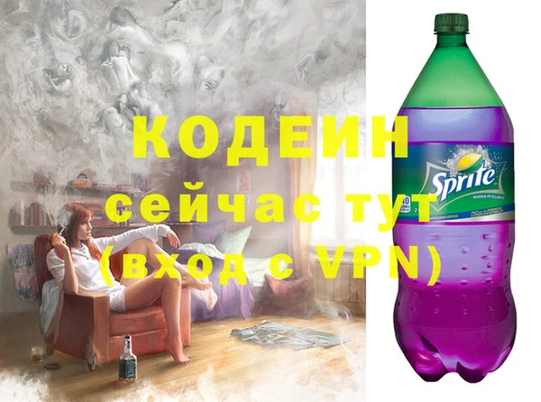 spice Ельня
